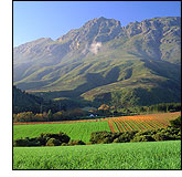 Dieu Donne, Franschhoek