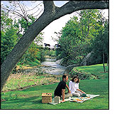 Spier Estate, Stellenbosch