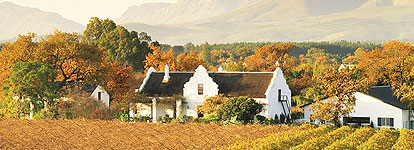 Paarl Valley Wine Farm